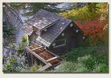 John Sack Cabin